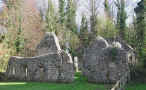 Dscn3422-crop-contr-u1-540-u0.3-q40.jpg (69318 bytes)