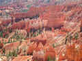 Dscn3131-levmid-u1-540-u0.5-q50.jpg (88369 bytes)