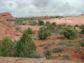 Dscn3158-u1-540-u0.5-q60.jpg (92738 bytes)