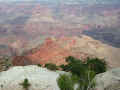 Dscn3246-levmid-u1-540-u0.5-q50.jpg (71703 bytes)