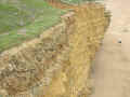 P5080656-u20720-u0.5-q30.jpg (85037 bytes)
