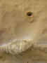 P5080667-u2-h540-u0.5-q60.jpg (55631 bytes)