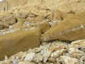 P5080683-u2-720-u0.5t5-q30.jpg (81601 bytes)
