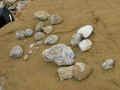 P5080704-u2-720-u0.5-q40.jpg (80000 bytes)