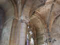 Dscn9768-clncntr-u2-540-u0.5t3-q50.jpg (61145 bytes)