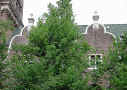 Dscn8417-transf-vary-u2-540-u0.5t3-q30.jpg (70836 bytes)