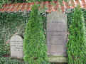 Dscn9276-crop-u2-540-u0.5-q40.jpg (77282 bytes)