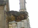 P8232481-rot-crop-u0.5-q80.jpg (49939 bytes)