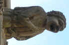 P8232484-crop-720-u0.5t3-vary-q60.jpg (54524 bytes)