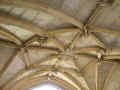 P8232504-vary-varr-u2-720-u0.5t2-q40.jpg (74674 bytes)